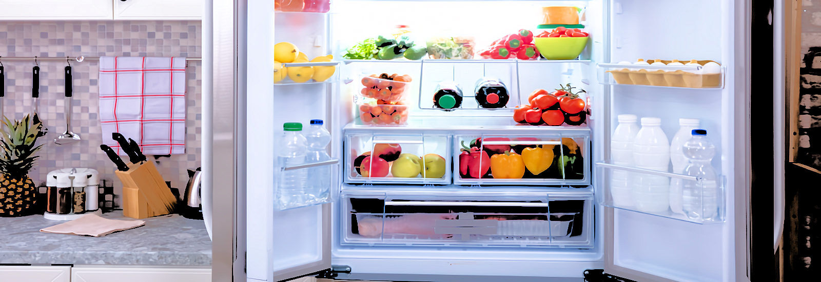 Refrigerator Repair Service in Melbourne and Brevard County Florida